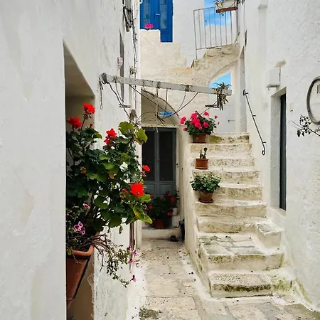 White Stone- La Nicchia 아파트 오스투니