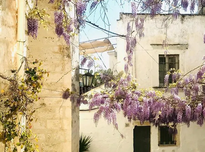 Apartamento White Stone- La Nicchia